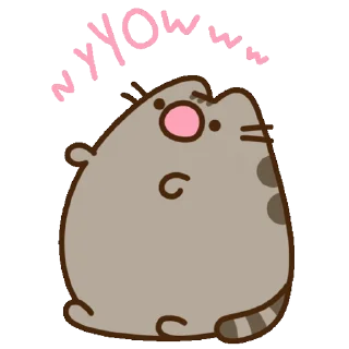 😺