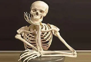 💀