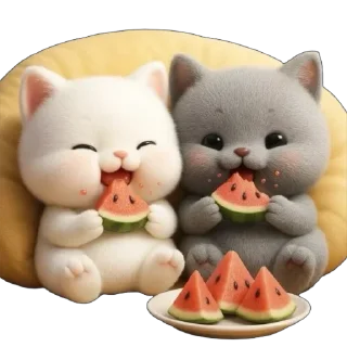 🍉