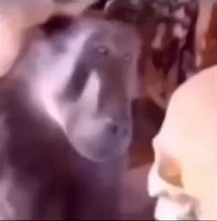 🤔