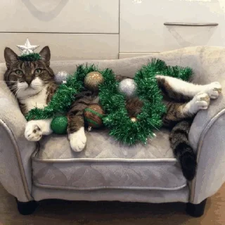 🎄