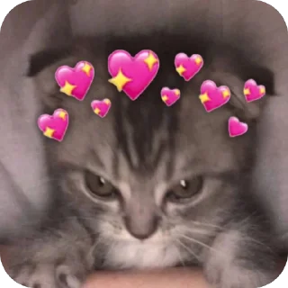 🫥