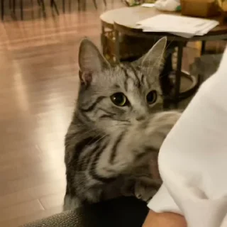 🥲