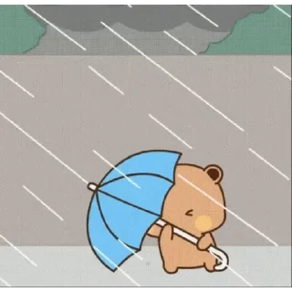 ☔️