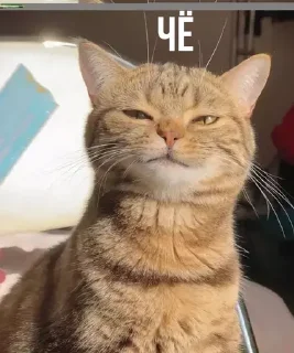😑
