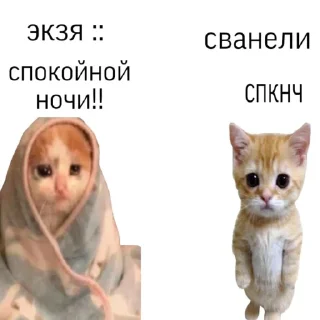 🥰
