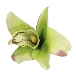 🌸