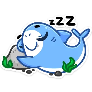 😴