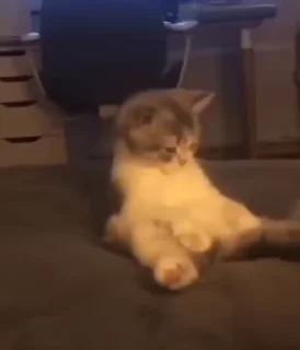 😳