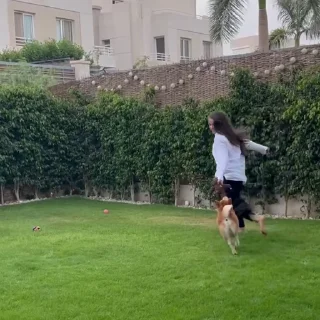 🐕