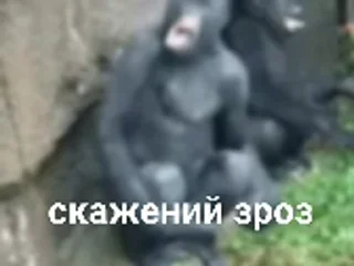 😤