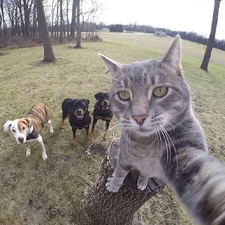 😎