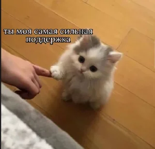 🤝