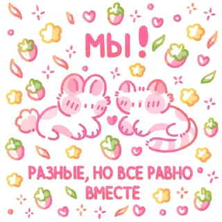 🐈