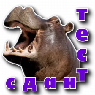 Behemoth has entered the chat