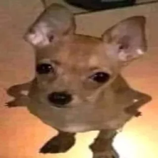 🤠