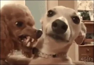😬