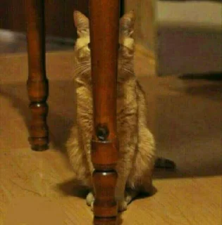 😬