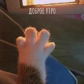 🌞