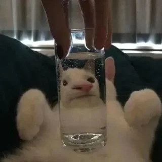 🥛
