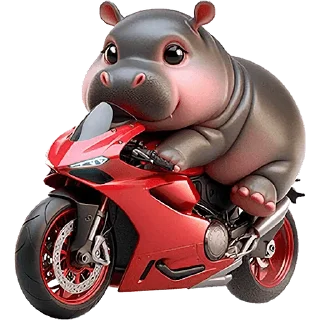 🏍