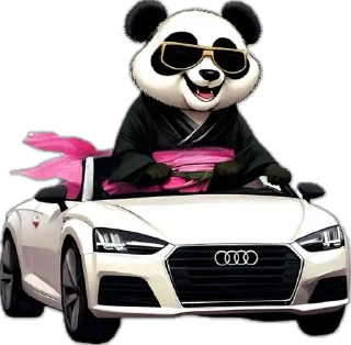 🏎️