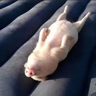 🥺