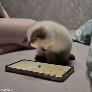 🎰