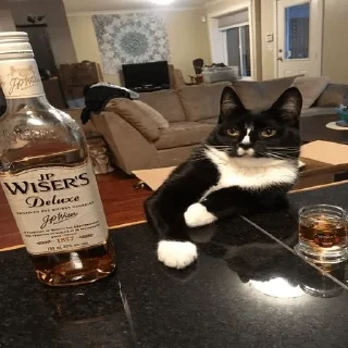 🥃