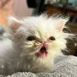 😱