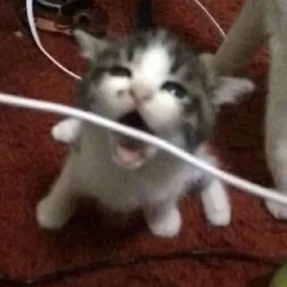 😦