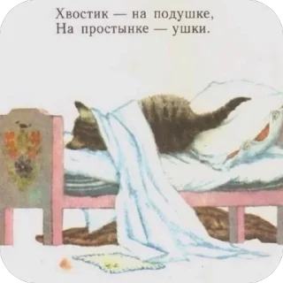 😴