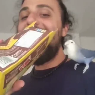 🦜