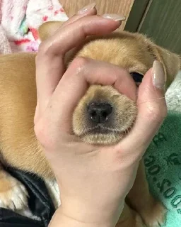 😒