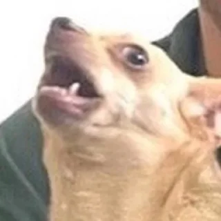 😧
