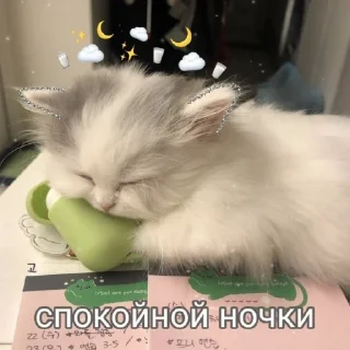 😴