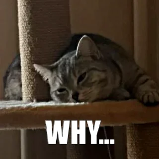 😞