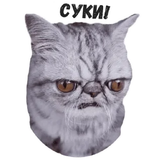 😠
