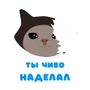 😿