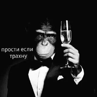 🦍