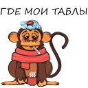 🙉