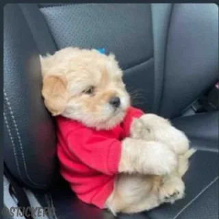 😞