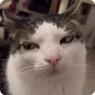 😑