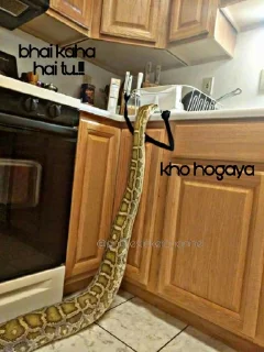 🤨