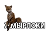 Жмырлоки