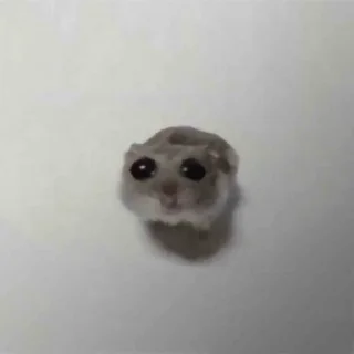 🥺