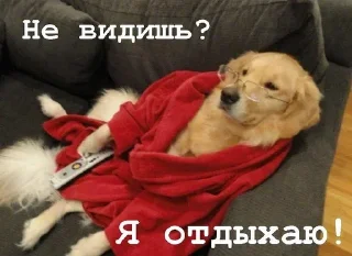 🧐