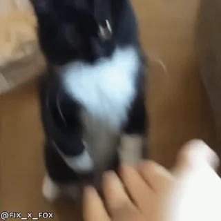 👋