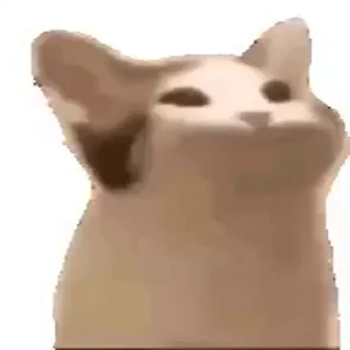 😸