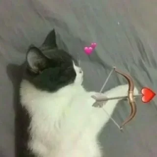 💕